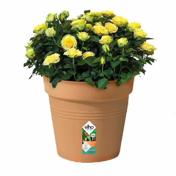 Elho Green Basics Growpot Mild Terra 40cm 2 Elho Green Basics Growpot Mild Terra 40cm - Image 2