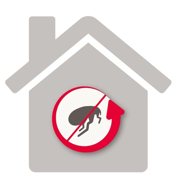 Beapher Household Flea Fumigator 3.5g 4 Beapher Household Flea Fumigator 3.5g - Image 4