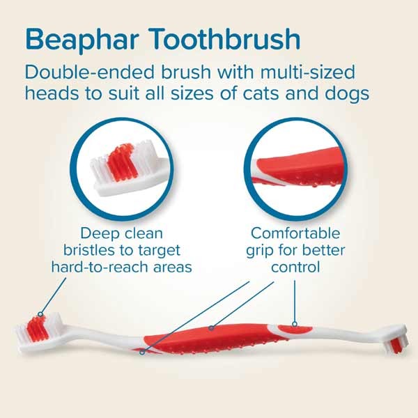 Beaphar Toothbrush/Paste Combipack 2 Beaphar Toothbrush/Paste Combipack - Image 2