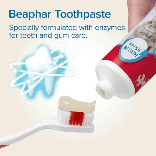 Beaphar Toothbrush/Paste Combipack 3 Beaphar Toothbrush/Paste Combipack - Image 3