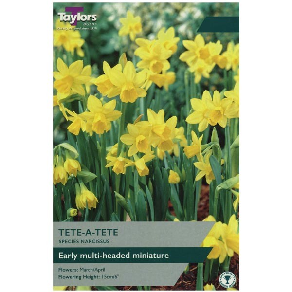 Taylors Bulbs Narcissus Tete a Tete 18 Pack - NL
