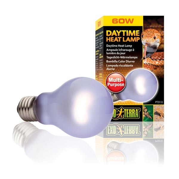 Exo Terra Daytime Heat Lamp 60w 1 Exo Terra Daytime Heat Lamp 60w