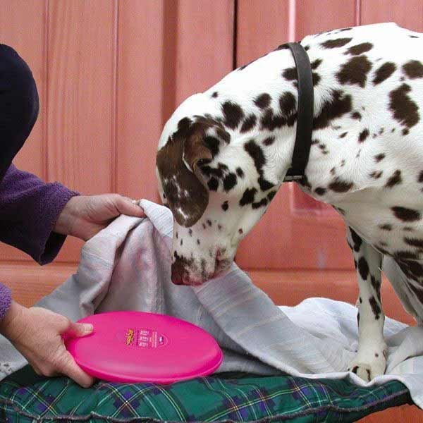 SnuggleSafe Microwave Heatpad for Small Animals 5 SnuggleSafe Microwave Heatpad for Small Animals - Image 5