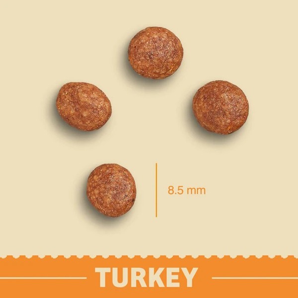 James Wellbeloved Grain Free Turkey Adult 1.5kg Dry Cat Food 2 James Wellbeloved Grain Free Turkey Adult 1.5kg Dry Cat Food - Image 2