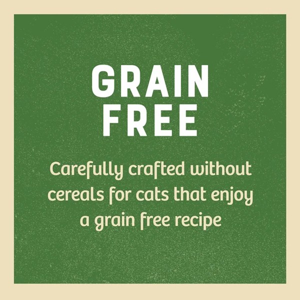 James Wellbeloved Grain Free Turkey Adult 1.5kg Dry Cat Food 4 James Wellbeloved Grain Free Turkey Adult 1.5kg Dry Cat Food - Image 4