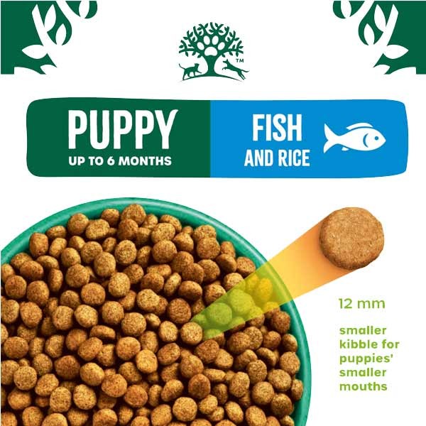 James Wellbeloved Fish & Rice Puppy/Junior 2kg Dry Dog Food 2 James Wellbeloved Fish & Rice Puppy/Junior 2kg Dry Dog Food - Image 2