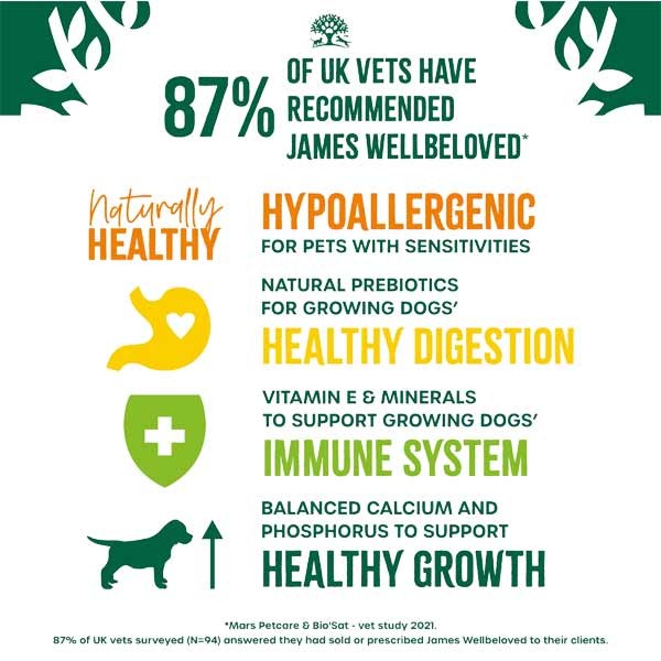 James Wellbeloved Fish & Rice Puppy/Junior 2kg Dry Dog Food 4 James Wellbeloved Fish & Rice Puppy/Junior 2kg Dry Dog Food - Image 4
