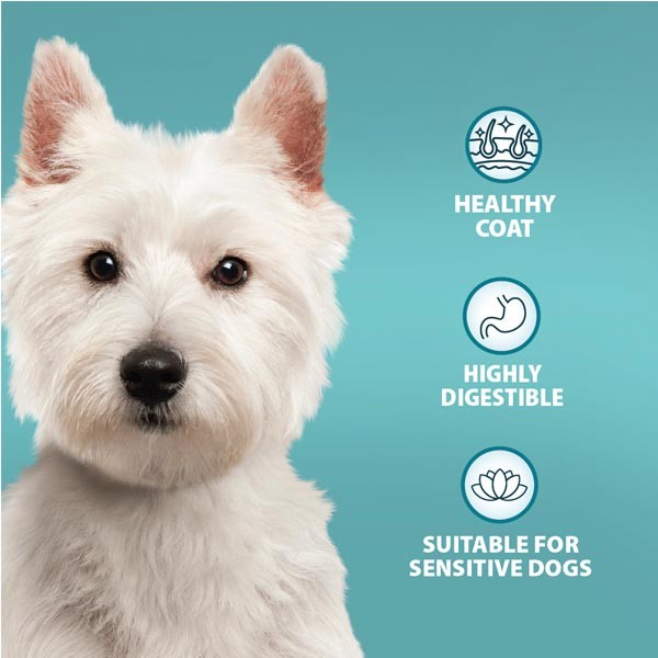 Burns Sensitive Duck & Brown Rice Adult 2kg Dry Dog Food 3 Burns Sensitive Duck & Brown Rice Adult 2kg Dry Dog Food - Image 3