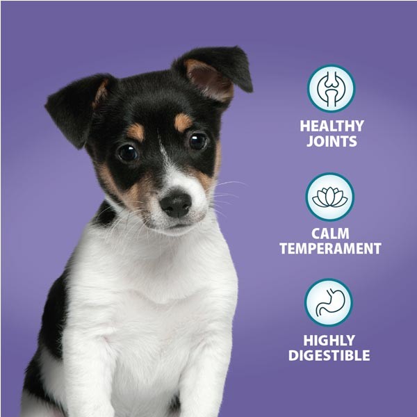 Burns Original Chicken & Brown Rice Puppy 2kg Dry Dog Food 2 Burns Original Chicken & Brown Rice Puppy 2kg Dry Dog Food - Image 2