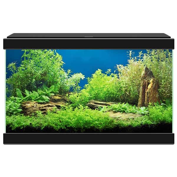 Ciano Aqua 20 Black LED Aquarium 2 Ciano Aqua 20 Black LED Aquarium - Image 2