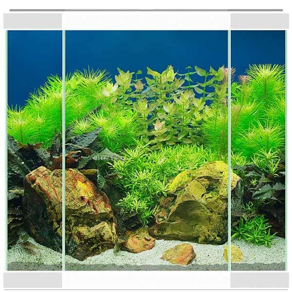 Ciano Aqua 30 White LED Aquarium 2 Ciano Aqua 30 White LED Aquarium - Image 2