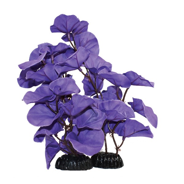 Hugo Kamishi Lily Blue Silk Aquascaping Aquarium Plant Single 13cm 1 Hugo Kamishi Lily Blue Silk Aquascaping Aquarium Plant Single 13cm