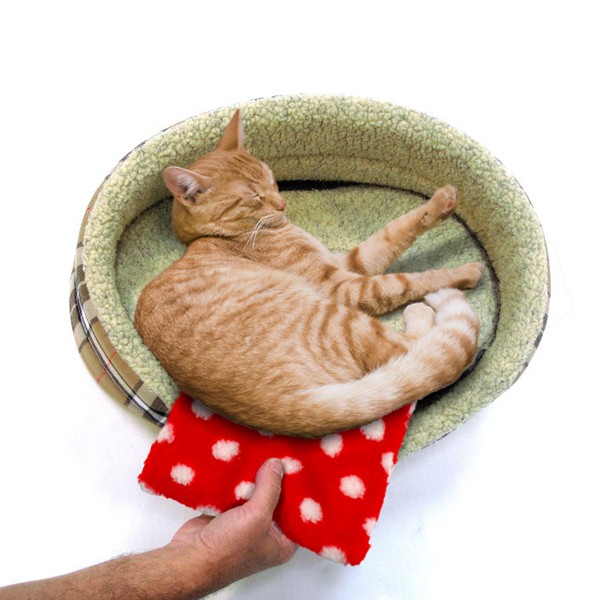 Petlife Hottie Heat Pad Red Polka 3 Petlife Hottie Heat Pad Red Polka - Image 3