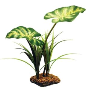 Komodo Broadleaf Canopy