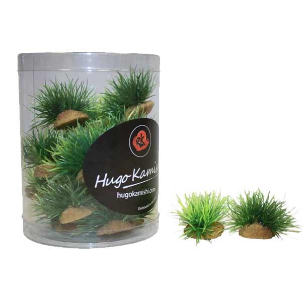Hugo Kamishi Miniature Foreground 1 Aquascaping Aquarium Plants (20 Pack) 1 Hugo Kamishi Miniature Foreground 1 Aquascaping Aquarium Plants (20 Pack)