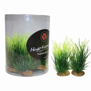 Hugo Kamishi Miniature Foreground 2 Aquascaping Aquarium Plants (10 Pack)