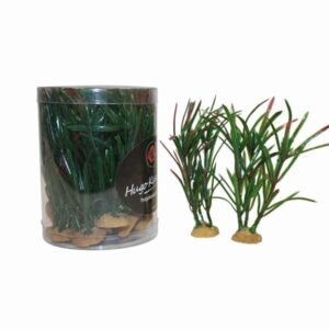 Hugo Kamishi Miniature Foreground 4 Aquascaping Aquarium Plants (15 Pack)
