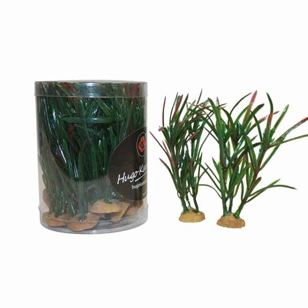 Hugo Kamishi Miniature Foreground 4 Aquascaping Aquarium Plants (15 Pack) 1 Hugo Kamishi Miniature Foreground 4 Aquascaping Aquarium Plants (15 Pack)