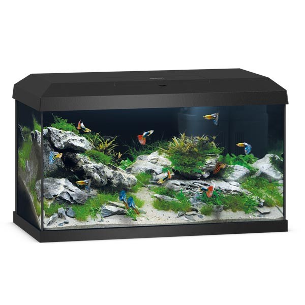 Juwel Primo Black 60 LED 2.0 Aquarium 1 Juwel Primo Black 60 LED 2.0 Aquarium