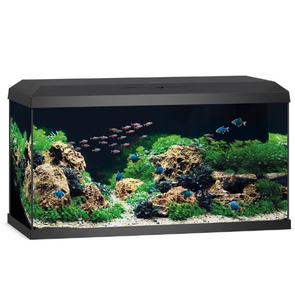 Juwel Primo Black 110 LED Aquarium 2.0 1 Juwel Primo Black 110 LED Aquarium 2.0