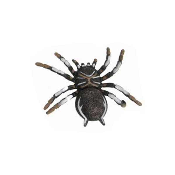 Grossest 6.5" Tpr Spider With Beans 1 Grossest 6.5" Tpr Spider With Beans