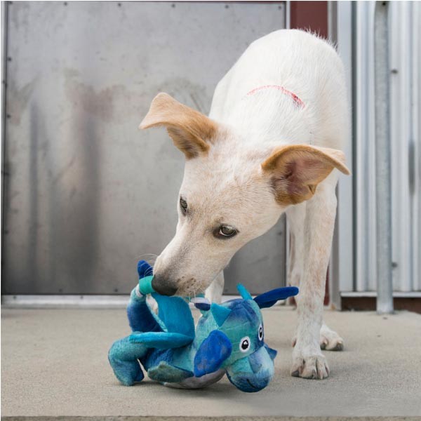 KONG Dragon Knots Medium/Large Dog Toy 2 KONG Dragon Knots Medium/Large Dog Toy - Image 2