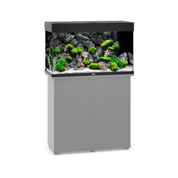 Juwel Rio 125 Black LED Aquarium 2 Juwel Rio 125 Black LED Aquarium - Image 2