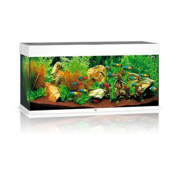 Juwel Rio 180 White LED Aquarium 1 Juwel Rio 180 White LED Aquarium