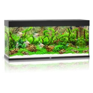 Juwel Rio 240 Black LED Aquarium