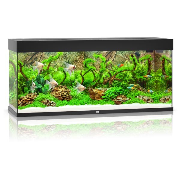 Juwel Rio 240 Black LED Aquarium 1 Juwel Rio 240 Black LED Aquarium