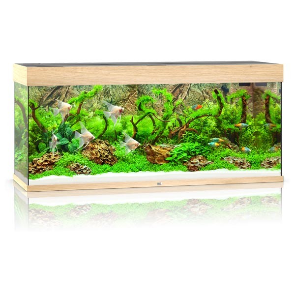 Juwel Rio 240 Lightwood LED Aquarium 1 Juwel Rio 240 Lightwood LED Aquarium