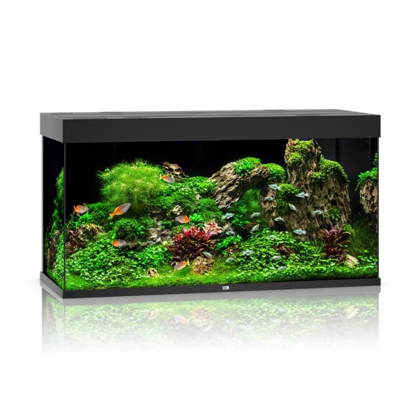 Juwel Rio 350 Black LED Aquarium 1 Juwel Rio 350 Black LED Aquarium