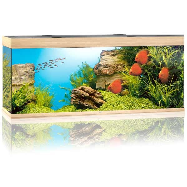 Juwel Rio 450 Lightwood LED Aquarium 1 Juwel Rio 450 Lightwood LED Aquarium