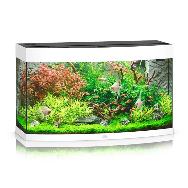 Juwel Vision 180 White LED Aquarium 1 Juwel Vision 180 White LED Aquarium