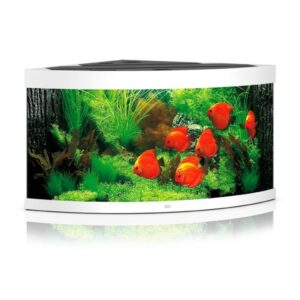 Juwel Trigon 350 White LED Aquarium