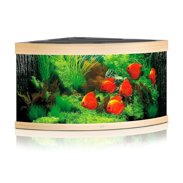 Juwel Trigon 350 Lightwood LED Aquarium 1 Juwel Trigon 350 Lightwood LED Aquarium