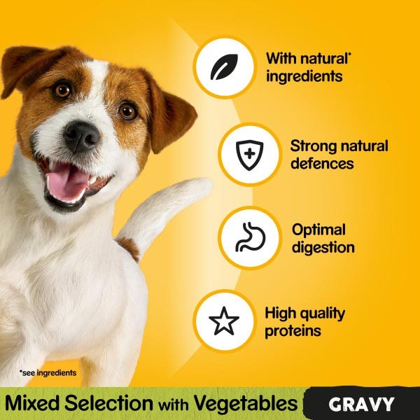 Pedigree Pouch Mixed Chunks in Gravy 40x100g Wet Dog Food 4 Pedigree Pouch Mixed Chunks in Gravy 40x100g Wet Dog Food - Image 4