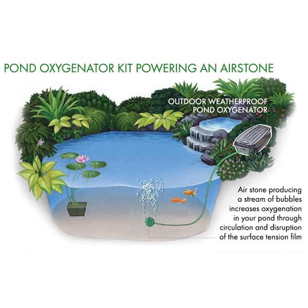 Blagdon Pond Oxygenator Kit Single Outlet 4 Blagdon Pond Oxygenator Kit Single Outlet - Image 4