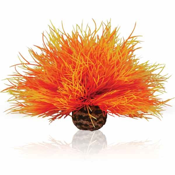 biOrb Sea Lily Flame 1 biOrb Sea Lily Flame