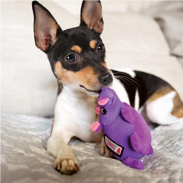 KONG Phatz Hippo Medium Dog Toy 2 KONG Phatz Hippo Medium Dog Toy - Image 2
