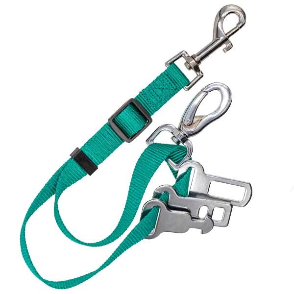 Sötnos Universal Seat Belt Restraint (with Isofix) Teal 1 Sötnos Universal Seat Belt Restraint (with Isofix) Teal