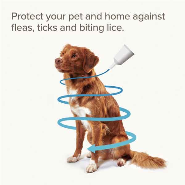 Beaphar FIPROtec Combo Flea & Tick Spot-on for Dogs (20-40kg) Single 3 Beaphar FIPROtec Combo Flea & Tick Spot-on for Dogs (20-40kg) Single - Image 3