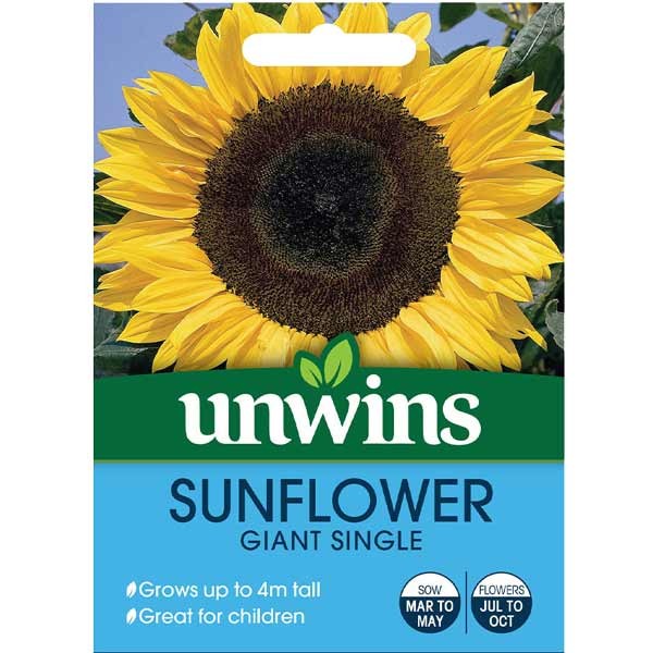 Unwins Sunflower Giant Single Seeds 1 Unwins Sunflower Giant Single Seeds