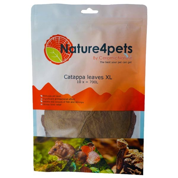 Nature4Pets Catappa Leaves Extra Large 10 Pack 1 Nature4Pets Catappa Leaves Extra Large 10 Pack