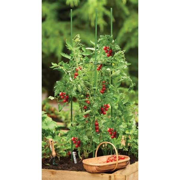 Gardman Tomato Cage Plant Support 2 Gardman Tomato Cage Plant Support - Image 2