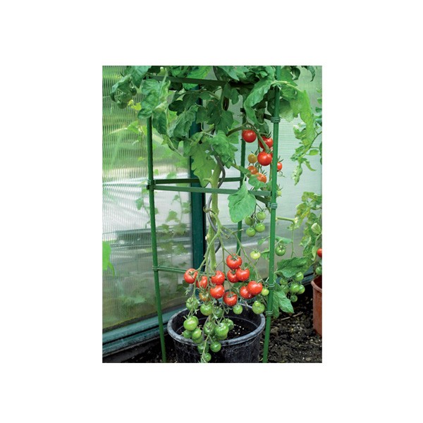 Gardman Tomato Cage Plant Support 3 Gardman Tomato Cage Plant Support - Image 3