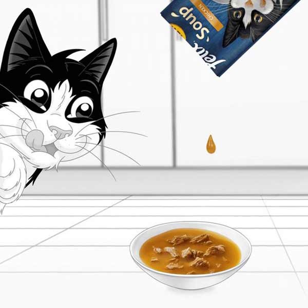 Felix Soup Farm Selection Adult 6x48g Wet Cat Food 2 Felix Soup Farm Selection Adult 6x48g Wet Cat Food - Image 2