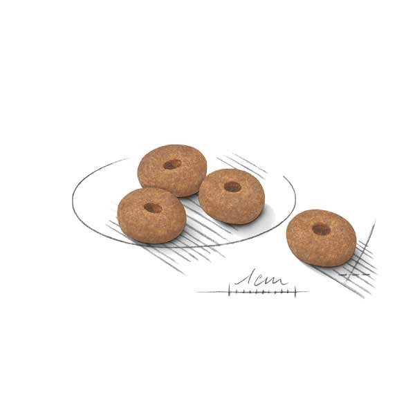 Royal Canin Mini Light Weight Care Adult 3kg Dry Dog Food 2 Royal Canin Mini Light Weight Care Adult 3kg Dry Dog Food - Image 2
