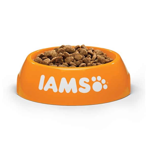 IAMS for Vitality Large Breed Chicken Puppy 2kg Dry Dog Food 2 IAMS for Vitality Large Breed Chicken Puppy 2kg Dry Dog Food - Image 2