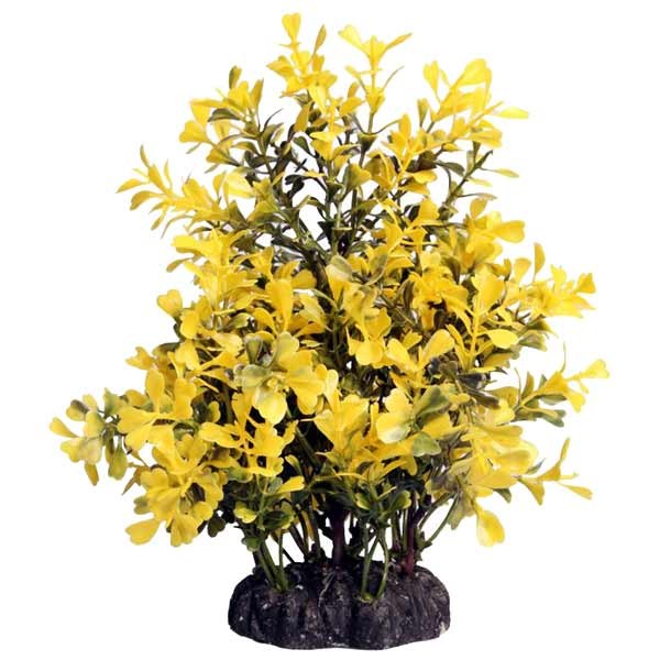Aqua One Ecoscape Medium Japanese Box Yellow 20cm 1 Aqua One Ecoscape Medium Japanese Box Yellow 20cm